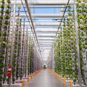 Modulaire constructies van Magnelis staal